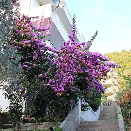 4M Apartments Petrovac Exterior photo